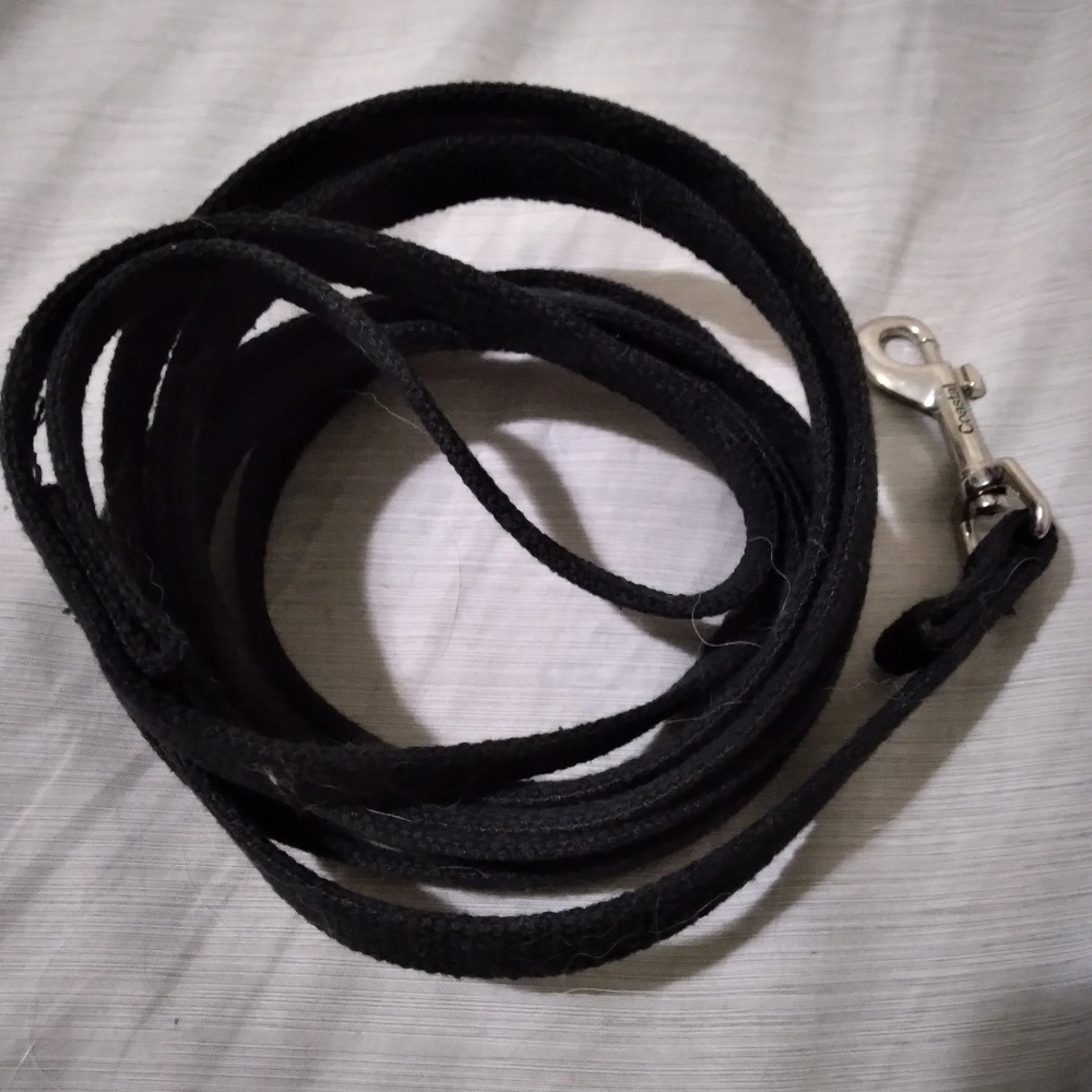 10ft dog training leash